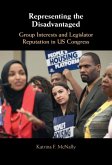 Representing the Disadvantaged (eBook, PDF)