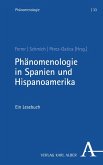 Phänomenologie in Spanien und Hispanoamerika (eBook, PDF)