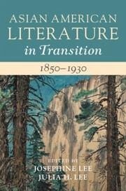 Cover Asian American Literature in Transition, 1850-1930: Volume 1 (eBook, PDF)