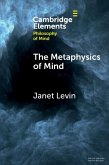 Metaphysics of Mind (eBook, PDF)