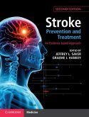 Stroke Prevention and Treatment (eBook, PDF)