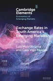 Exchange Rates in South America's Emerging Markets (eBook, PDF)