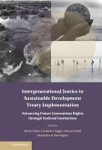 Intergenerational Justice in Sustainable Development Treaty Implementation (eBook, PDF)