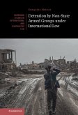 Detention by Non-State Armed Groups under International Law (eBook, ePUB)