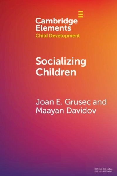 Socializing Children (eBook, PDF)