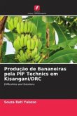 Produção de Bananeiras pela PIF Technics em Kisangani/DRC