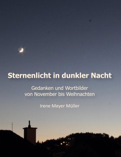 Sternenlicht in dunkler Nacht - Meyer Müller, Irene