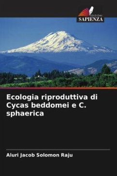 Cover Ecologia riproduttiva di Cycas beddomei e C. sphaerica