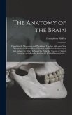 The Anatomy of the Brain
