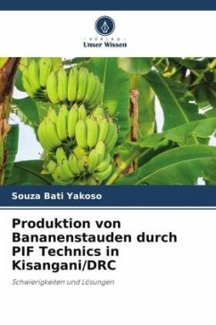 Produktion von Bananenstauden durch PIF Technics in Kisangani/DRC - Yakoso, Souza Bati