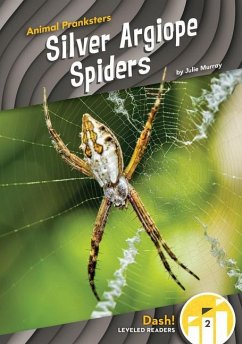 Silver Argiope Spiders - Murray, Julie Silver Argiope Spiders - Murray, Julie