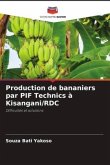 Production de bananiers par PIF Technics à Kisangani/RDC