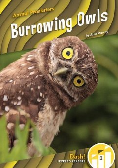 Burrowing Owls - Murray, Julie