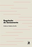 Regulação do saneamento (eBook, ePUB)