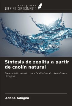 Síntesis de zeolita a partir de caolín natural - Adugna, Adane