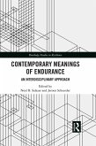Contemporary Meanings of Endurance (eBook, PDF)