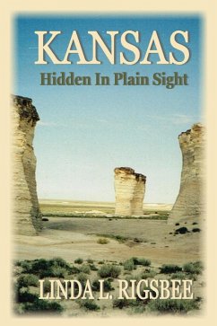 Cover Kansas, Hidden in Plain Sight (eBook, ePUB)