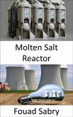 Molten Salt Reactor (eBook, ePUB)
