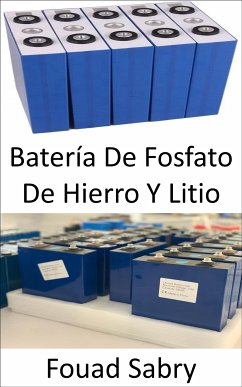 Batería De Fosfato De Hierro Y Litio (eBook, ePUB) - Sabry, Fouad