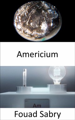 Americium (eBook, ePUB) - Sabry, Fouad