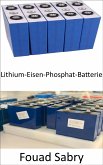 Lithium-Eisen-Phosphat-Batterie (eBook, ePUB)