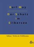 Der Schatz im Silbersee