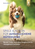 Spiele und Action für ausgeglichene Hütehunde