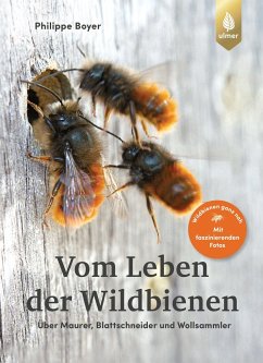 Vom Leben der Wildbienen - Boyer, Philippe