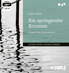 Ein springender Brunnen - Walser, Martin