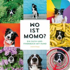 Wo ist Momo? - Knapp, Andrew