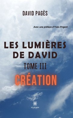 Les lumières de David - Tome 3 (eBook, ePUB) - Pagès, David