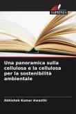 Una panoramica sulla cellulosa e la cellulosa per la sostenibilità ambientale