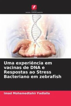 Uma experiência em vacinas de DNA e Respostas ao Stress Bacteriano em zebrafish - Fadlalla, Imad Mohamedtahir