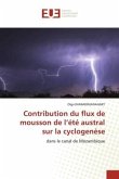 Contribution du flux de mousson de l¿été austral sur la cyclogenèse