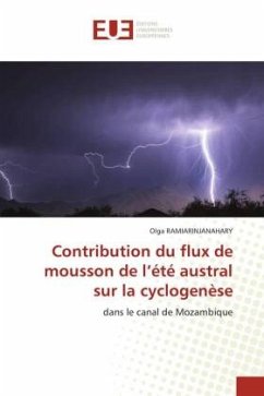 Contribution du flux de mousson de l¿été austral sur la cyclogenèse - RAMIARINJANAHARY, Olga