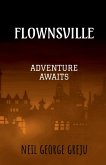 flownsville flownsville