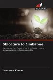 Sbloccare lo Zimbabwe