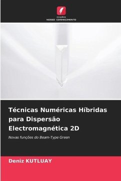 Técnicas Numéricas Híbridas para Dispersão Electromagnética 2D - KUTLUAY, Deniz