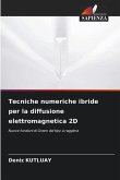 Tecniche numeriche ibride per la diffusione elettromagnetica 2D