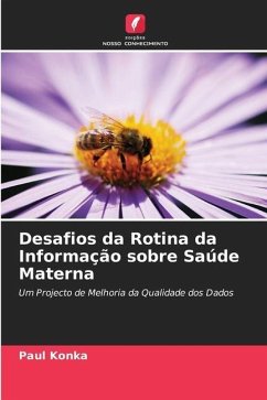 Desafios da Rotina da Informação sobre Saúde Materna - Konka, Paul