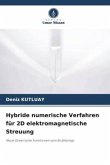 Hybride numerische Verfahren für 2D elektromagnetische Streuung