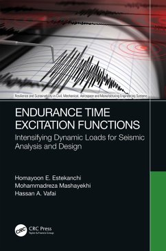 Cover Endurance Time Excitation Functions (eBook, ePUB)