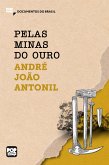 Pelas minas do ouro (eBook, ePUB)