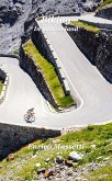 Biking in Switzerland (eBook, ePUB)