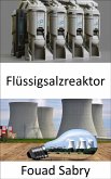 Flüssigsalzreaktor (eBook, ePUB)