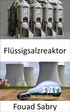 Flüssigsalzreaktor (eBook, ePUB) - Sabry, Fouad