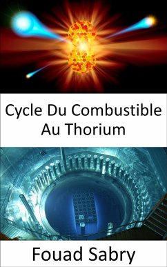 Cycle Du Combustible Au Thorium (eBook, ePUB) - Sabry, Fouad