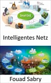 Intelligentes Netz (eBook, ePUB)