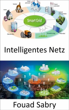 Intelligentes Netz (eBook, ePUB) - Sabry, Fouad