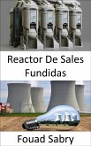 Reactor De Sales Fundidas (eBook, ePUB)